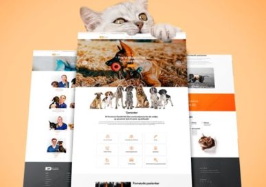 Webdesign og webutvikling av hjemmeside for K9 Nannestad Dyreklinikk